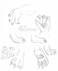 Sketches bandicoot paws