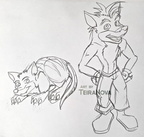 Sketches Crash