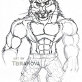 Unfinished AoA Crunch