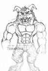 Unfinished AoA Crunch