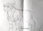 Unfinished sketch Leera