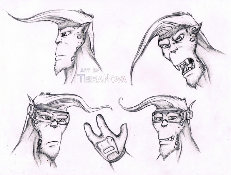 Sketches Ace expressions.jpg