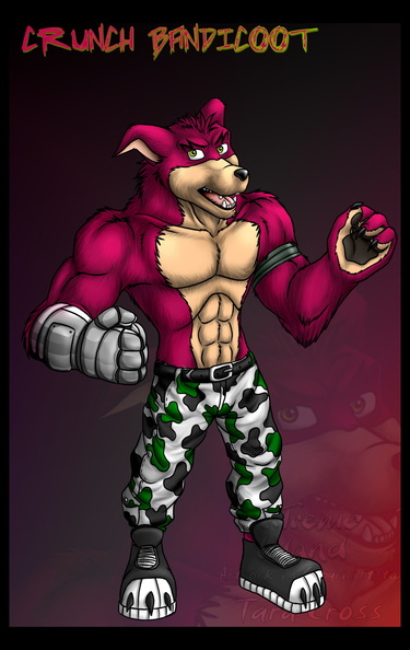 Crunch Bandicoot 2009.jpg