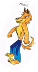 2002 Andre Dingo