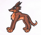 2002 Dingo brown 2
