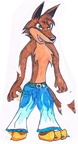 2002 Dingo