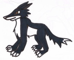 2002 Melanistic Dingo