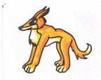 2002 Normal Dingo