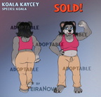 Adopt - Koala Kaycey (SOLD)