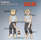 Adopt - Kougah (SOLD)