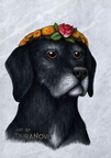 Commission - Macy portrait