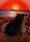 Rock Kitty Pretinha (Blackie)