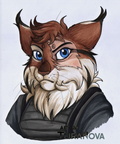 Art Fight - Nora (for kesoyotes)