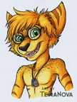 Art Fight - Felix (for enterdragongalaxy)